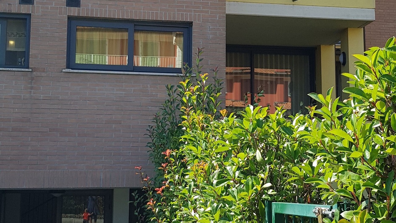 Photo of Outdoor in Mamiano
