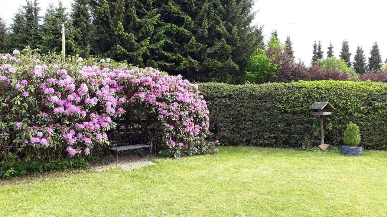Photo of Outdoor in Kirburg