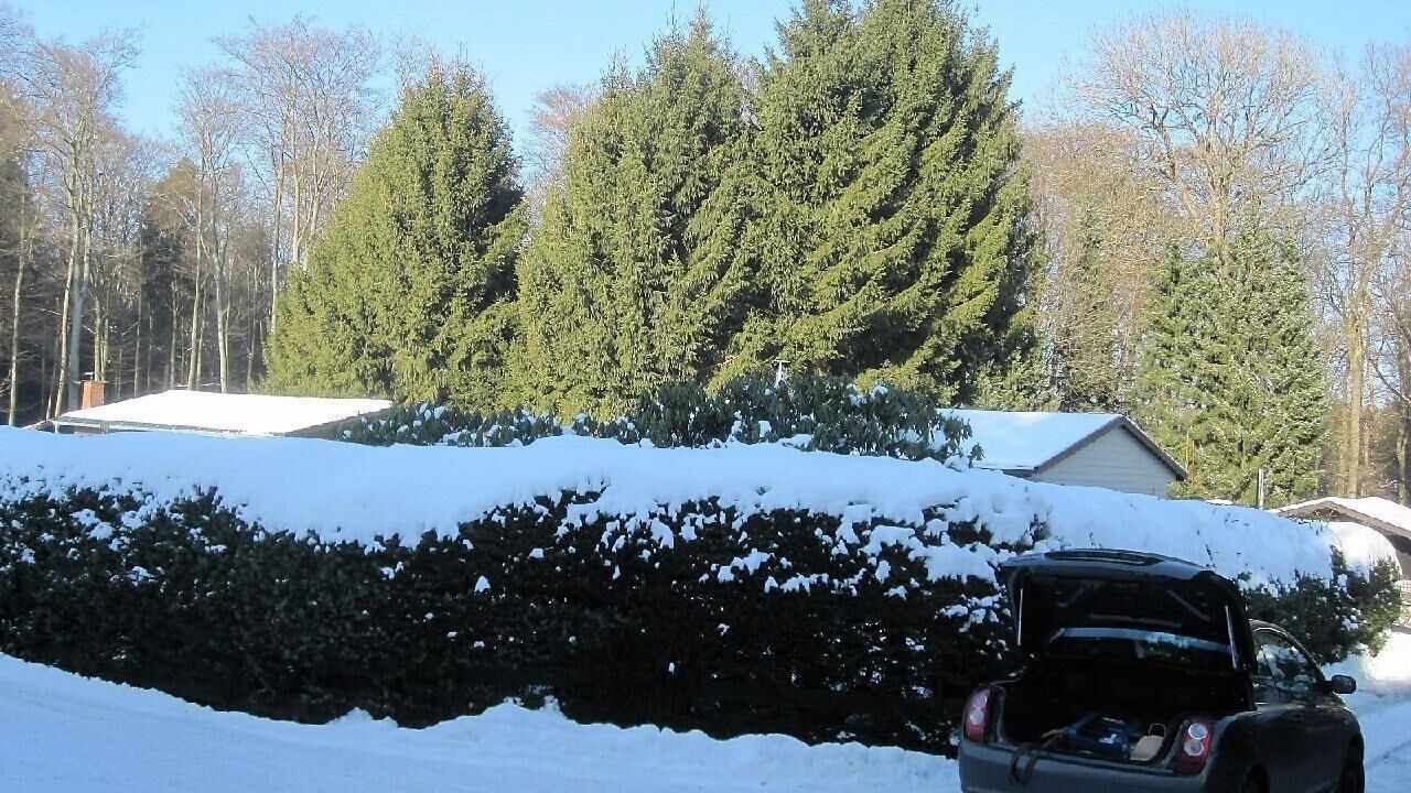 Photo of Outdoor in Kirburg