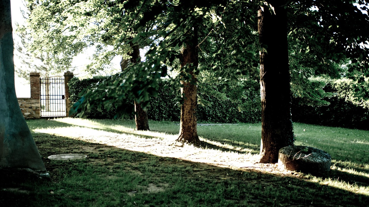 Photo of Outdoor in Pontassieve