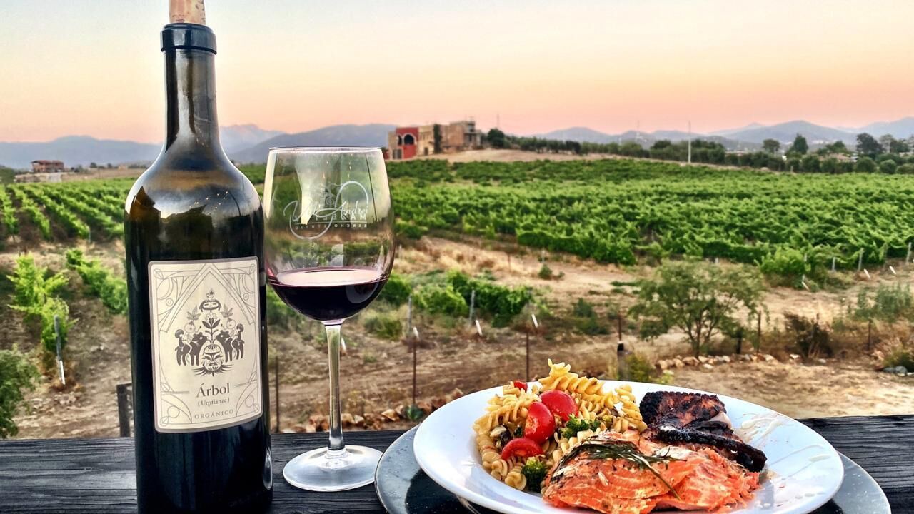 Photo of Others in Valle de Guadalupe