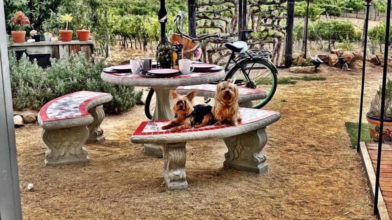 Photo of Outdoor in Valle de Guadalupe