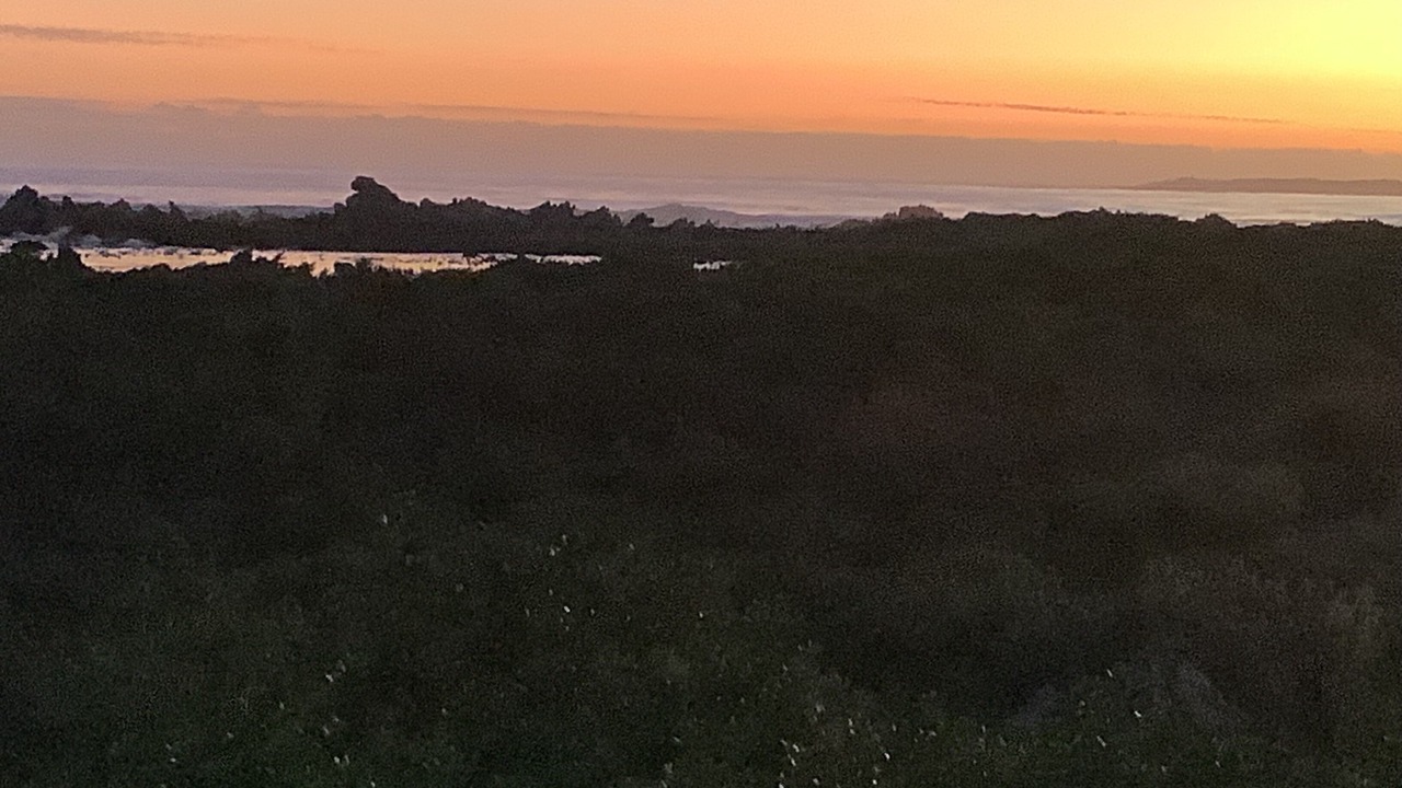 Photo of Others in Betty's Bay