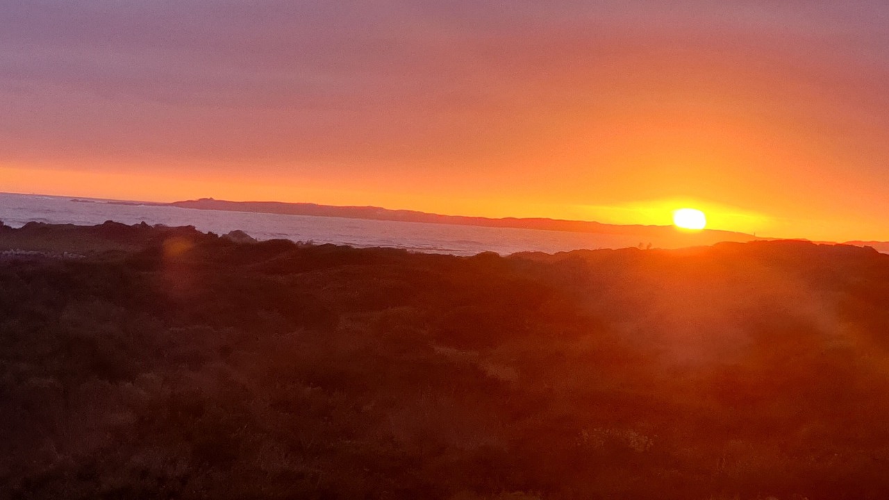 Photo of Others in Betty's Bay