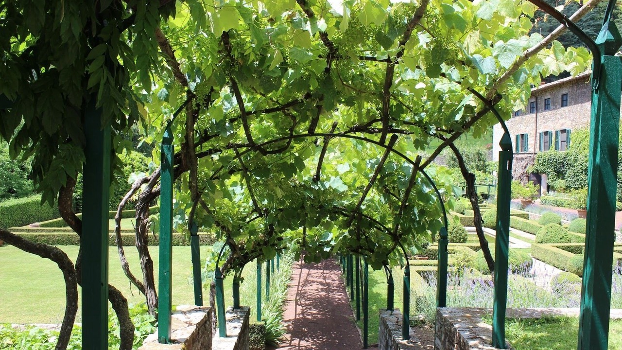 Photo of Outdoor in Badia Coltibuono