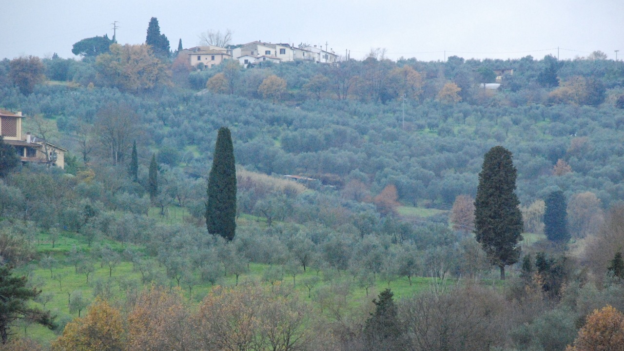 Photo of Outdoor in Lastra a Signa