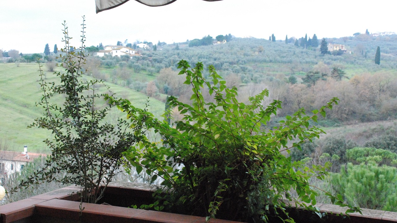 Photo of Outdoor in Lastra a Signa