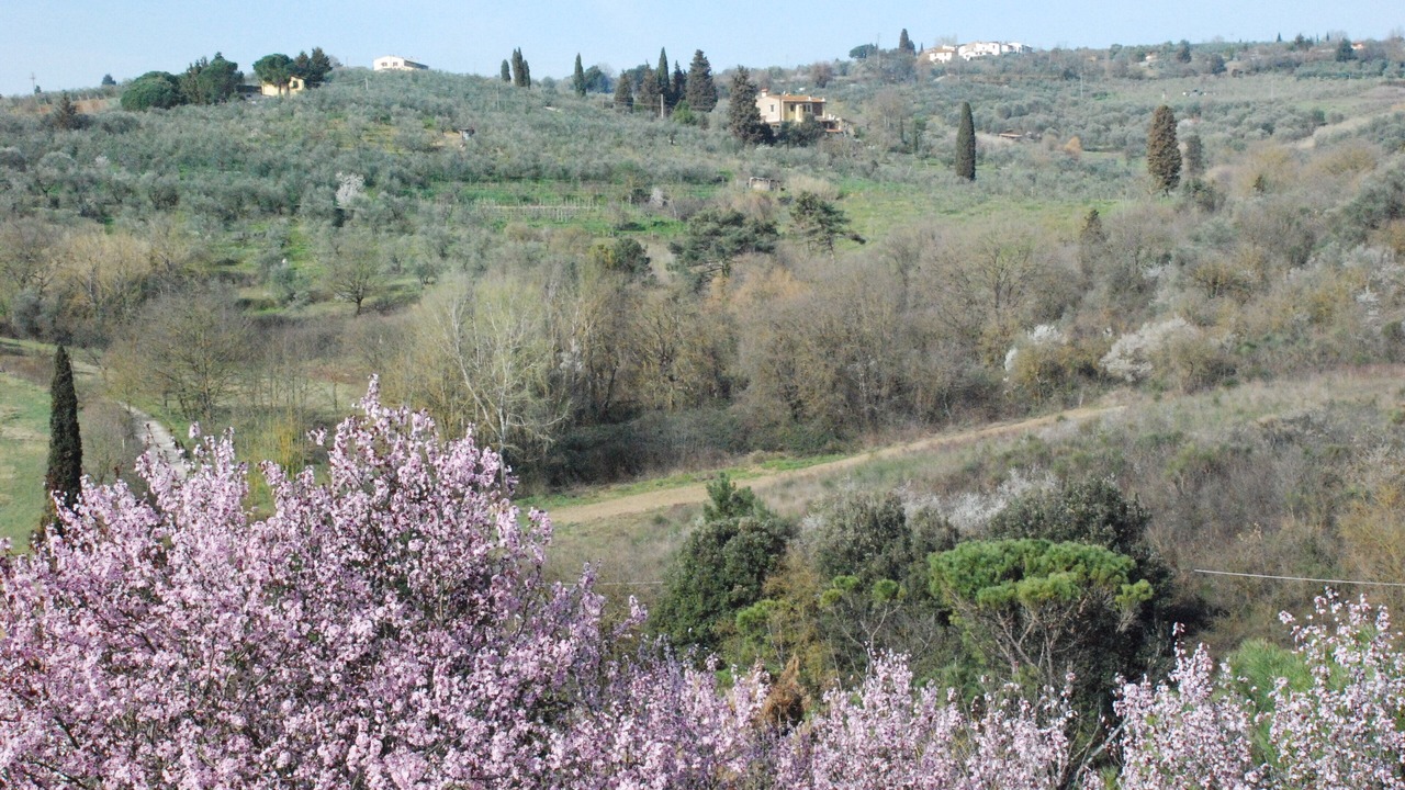 Photo of Outdoor in Lastra a Signa
