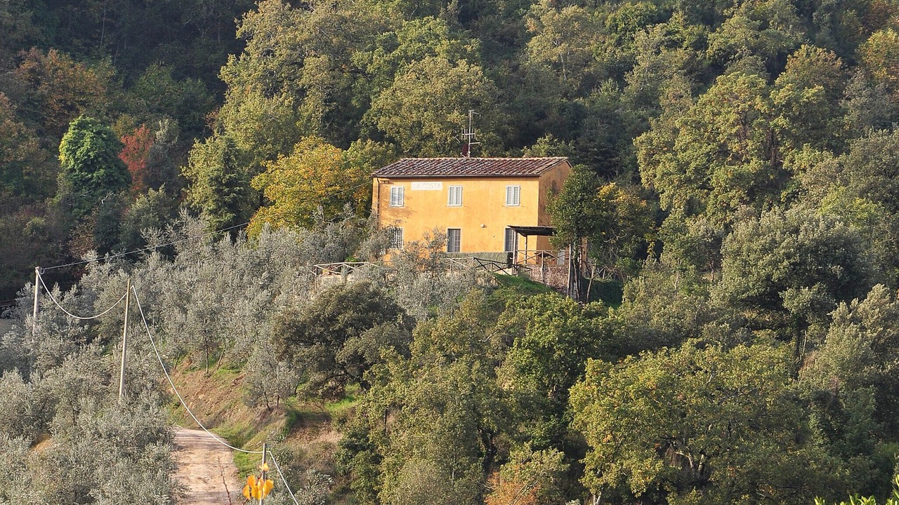 Photo of Outdoor in Bucine