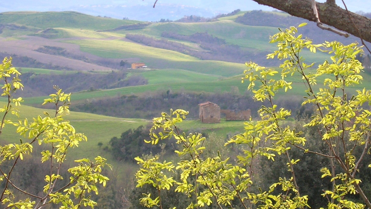 Photo of Others in Montaione
