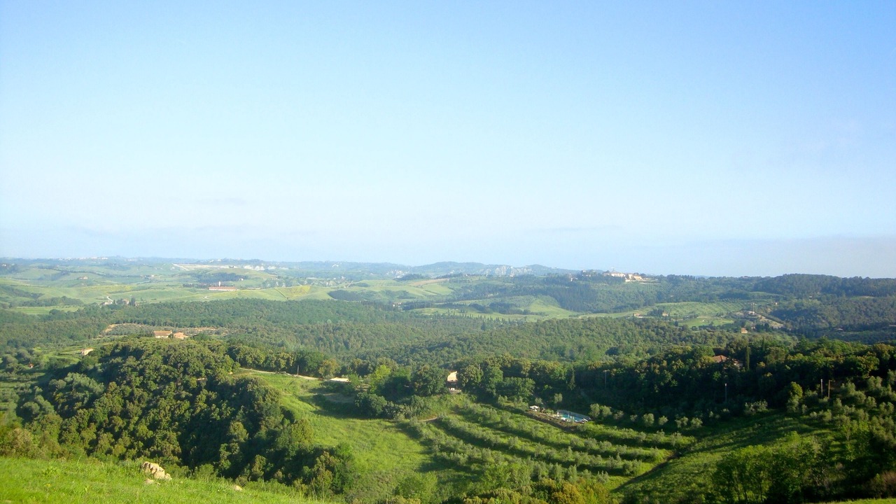 Photo of Others in Montaione