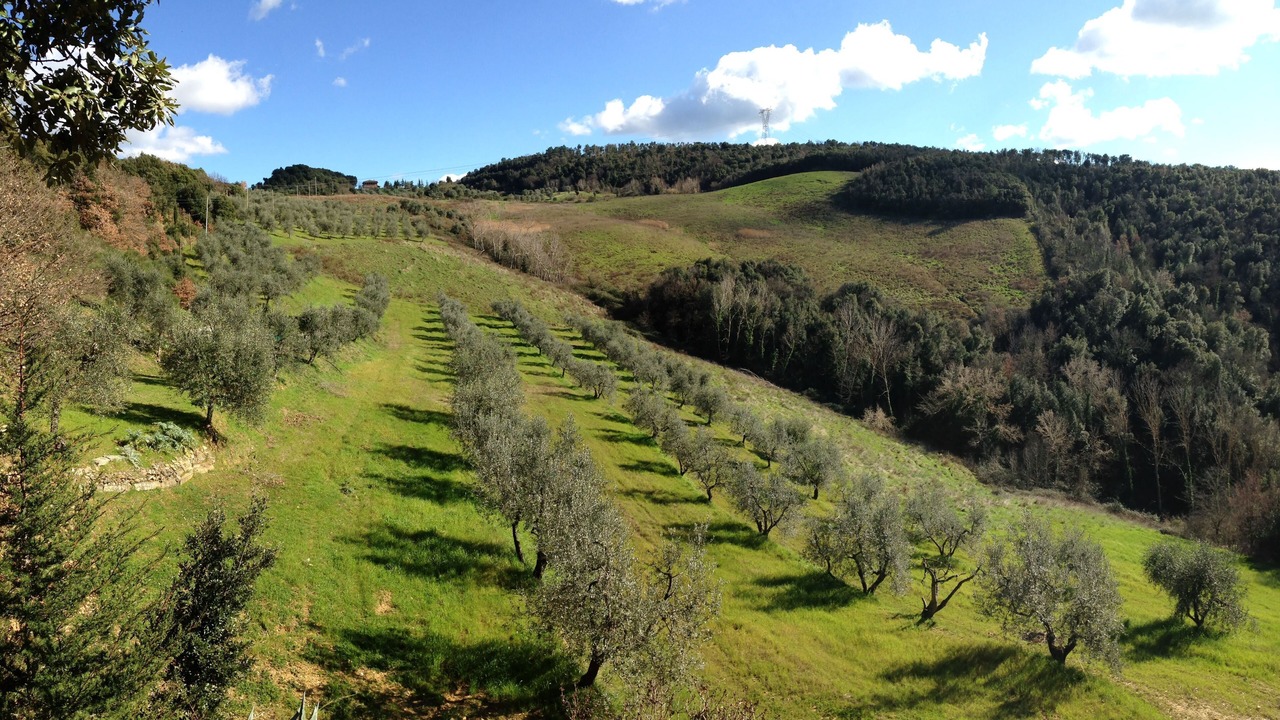Photo of Outdoor in Montaione