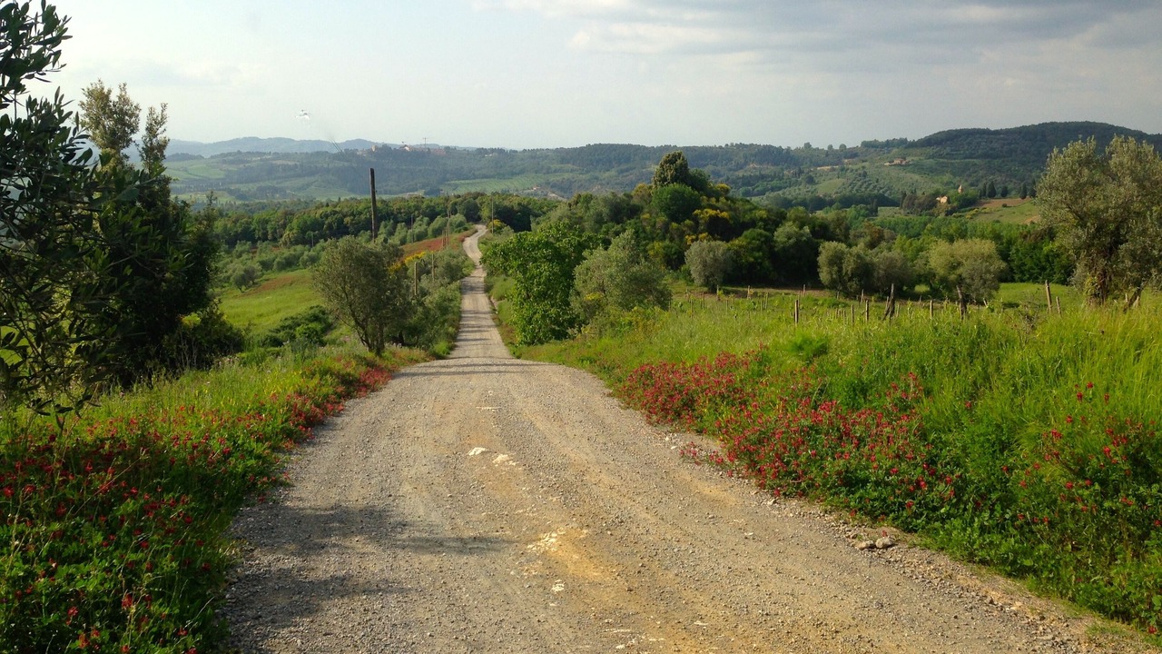 Photo of Others in Montaione