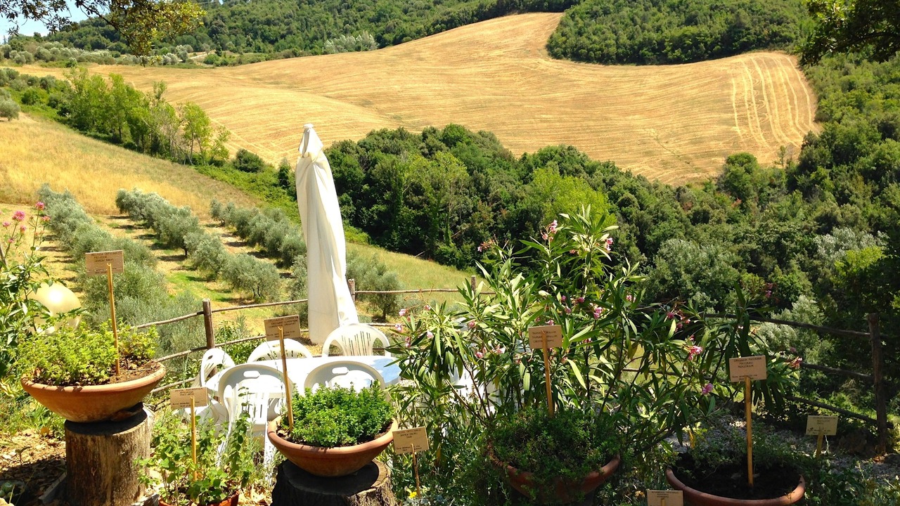 Photo of Others in Montaione