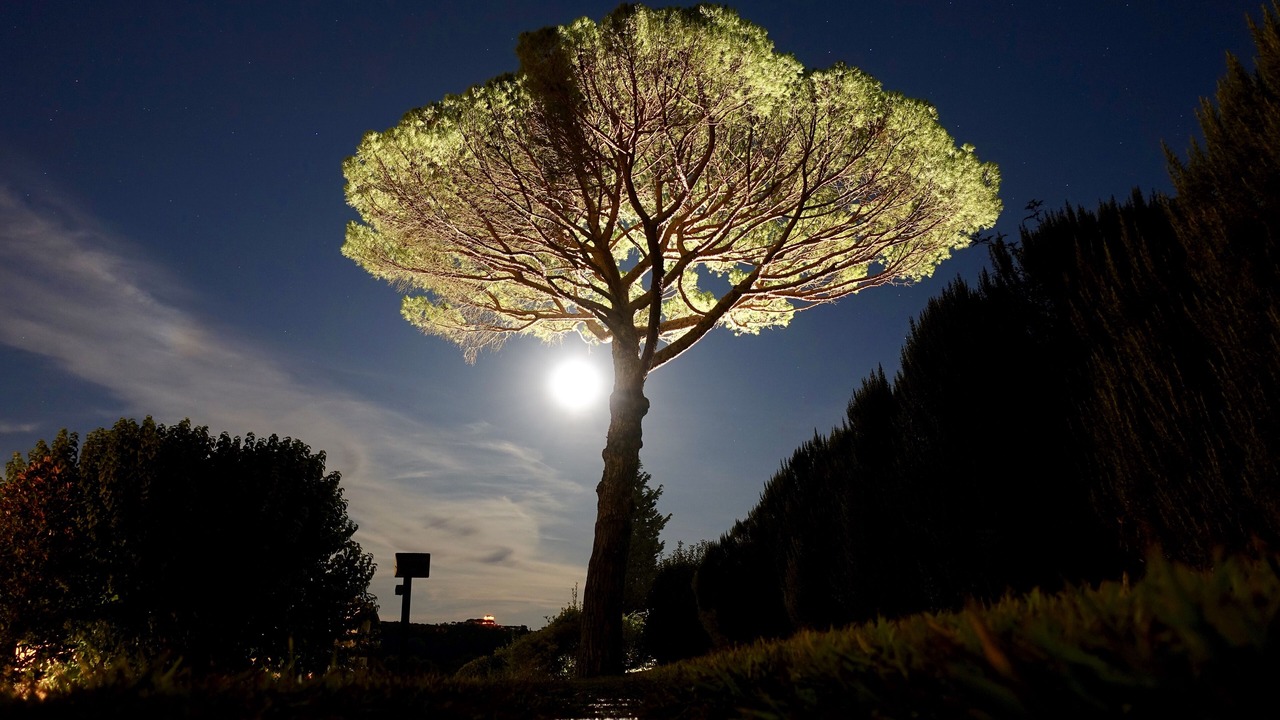 Photo of Outdoor in Toiano