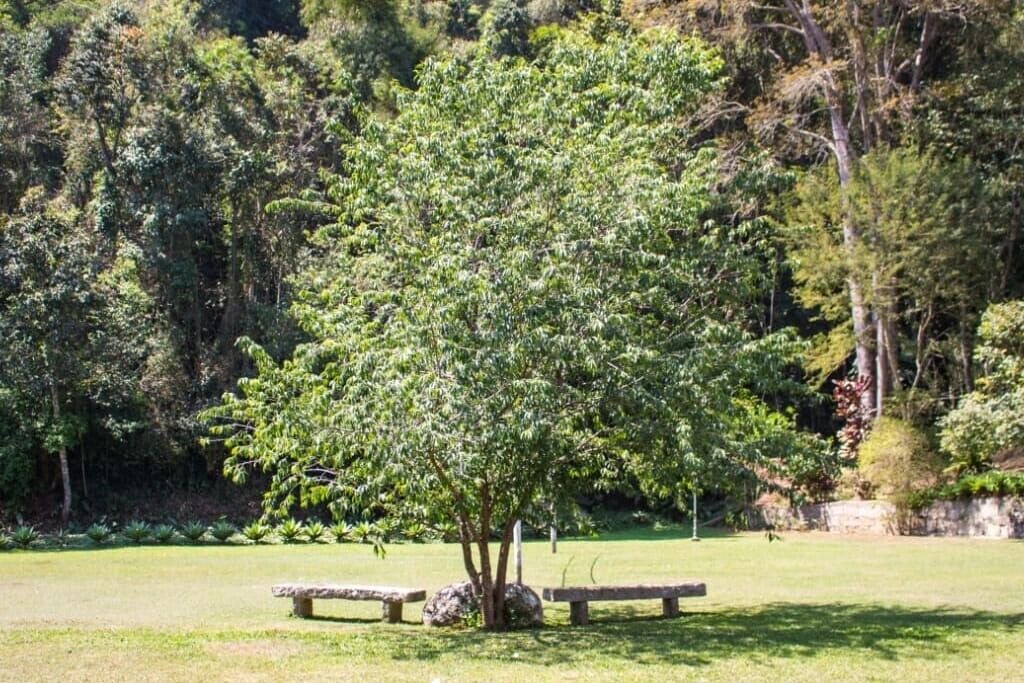 Photo of Outdoor in Itaipava