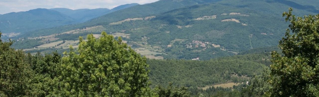 Photo of Others in Sarna