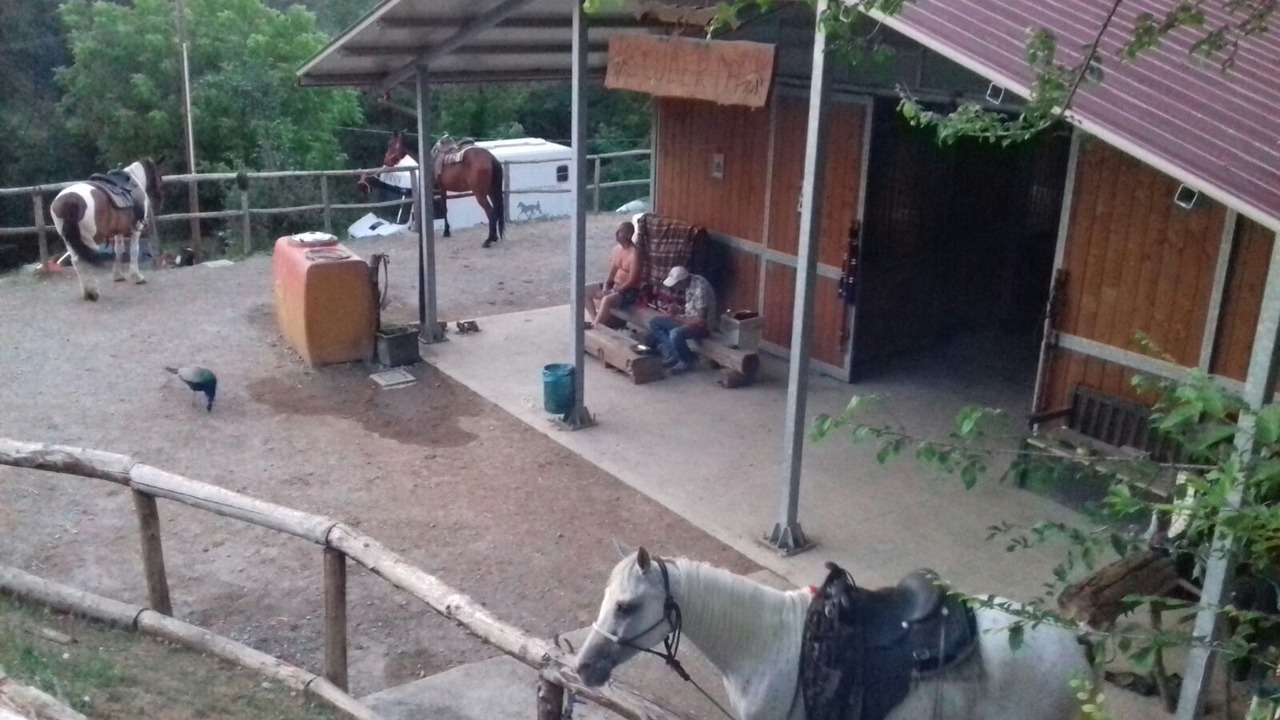 Photo of Outdoor in Livergnano
