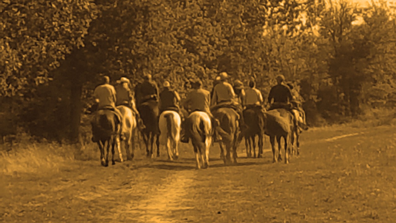 Photo of Others in Livergnano