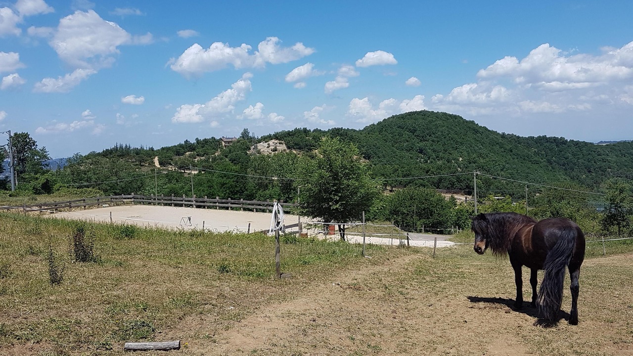 Photo of Outdoor in Livergnano
