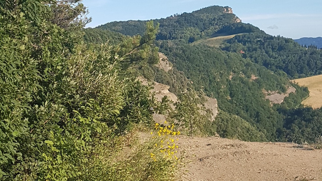 Photo of Outdoor in Livergnano