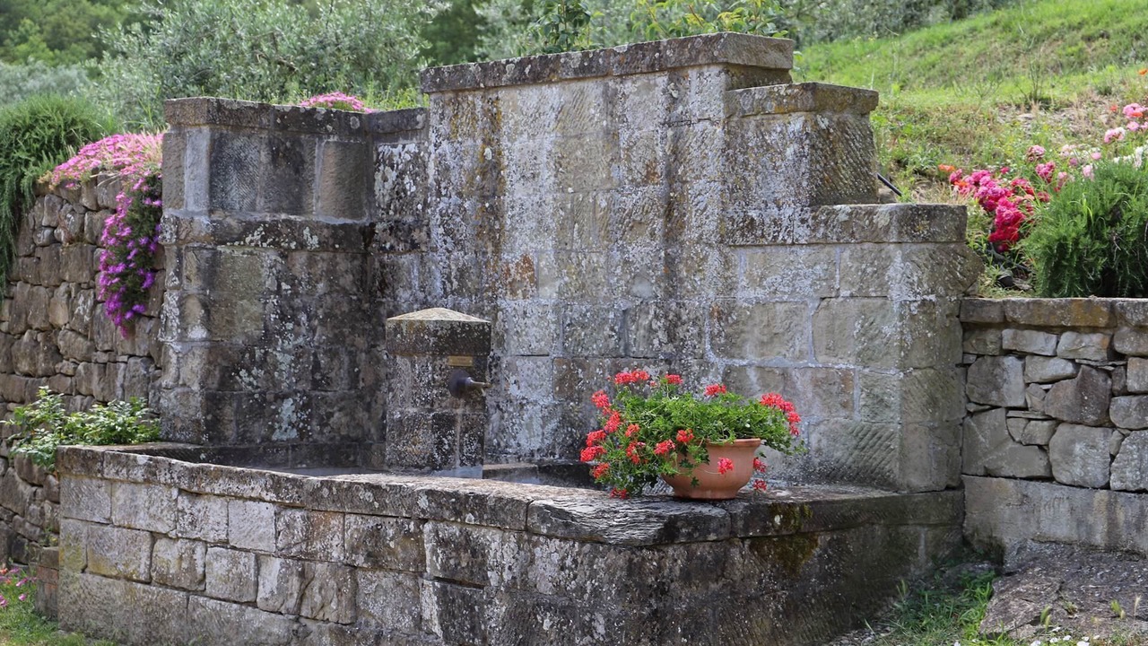 Photo of Outdoor in Starda