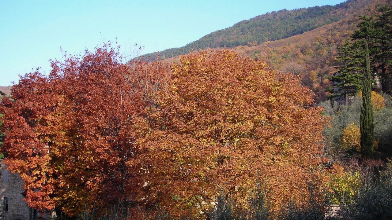 Photo of Outdoor in Vaiano