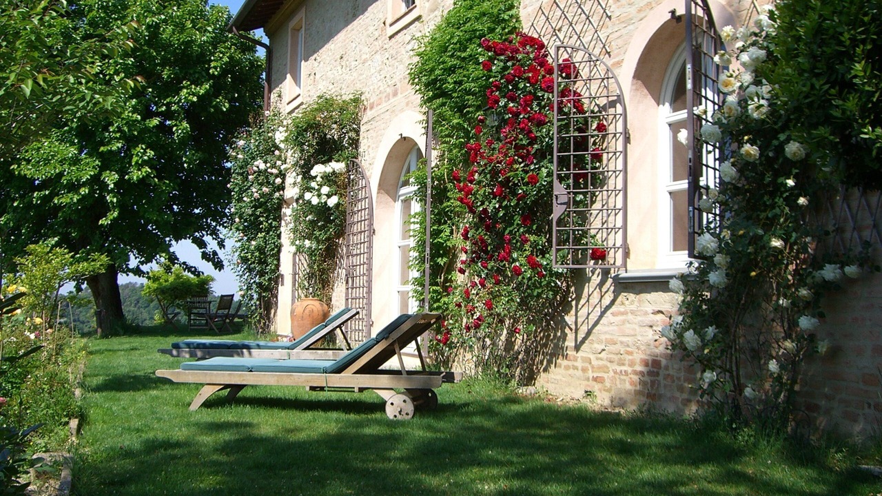 Photo of Outdoor in Palaia