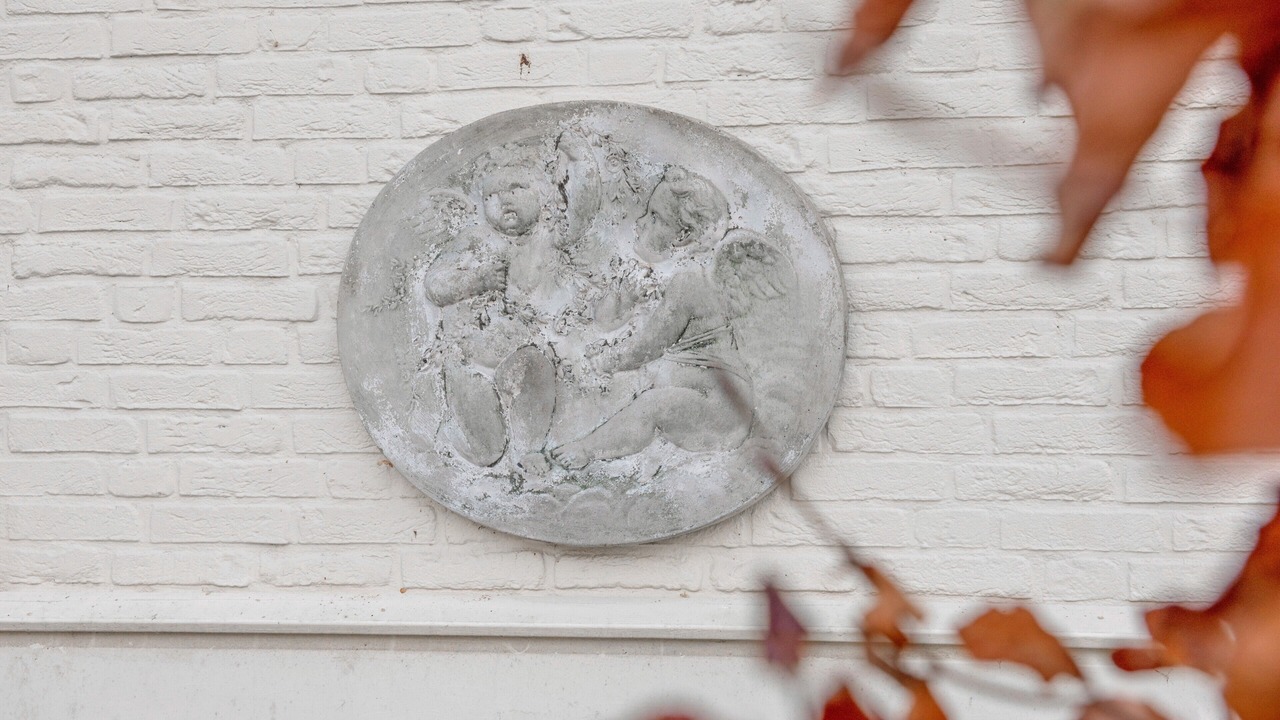 Photo of Outdoor in Hoogwoud