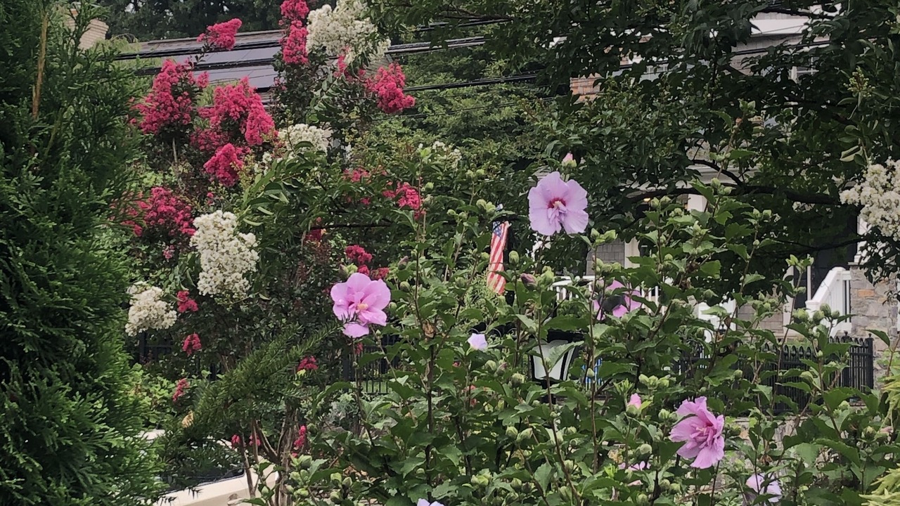 Photo of Outdoor in Woodmont Triangle