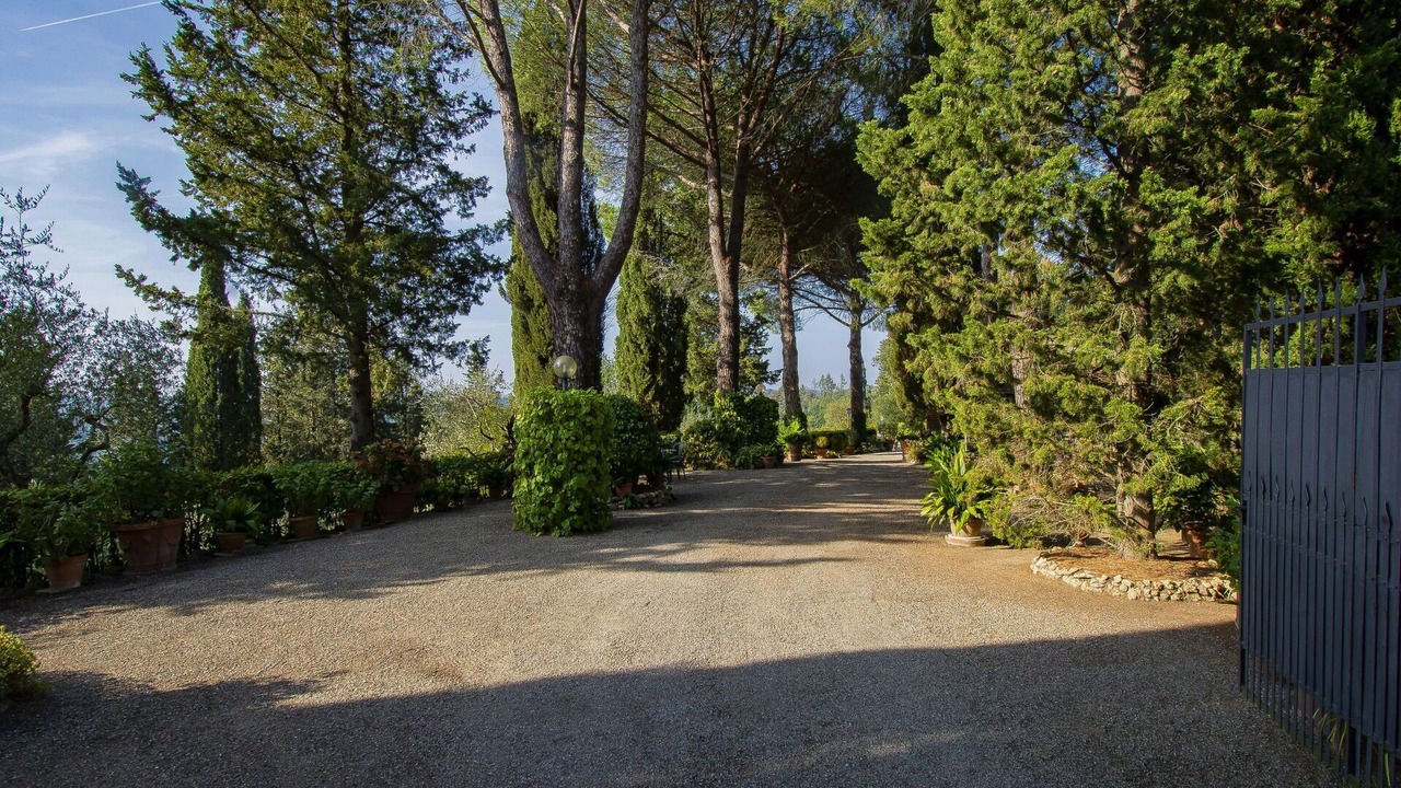 Photo of Others in Palaia