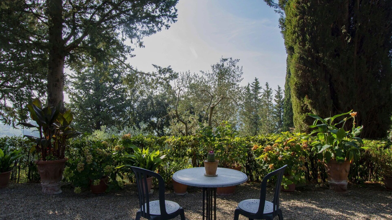 Photo of Outdoor in Palaia
