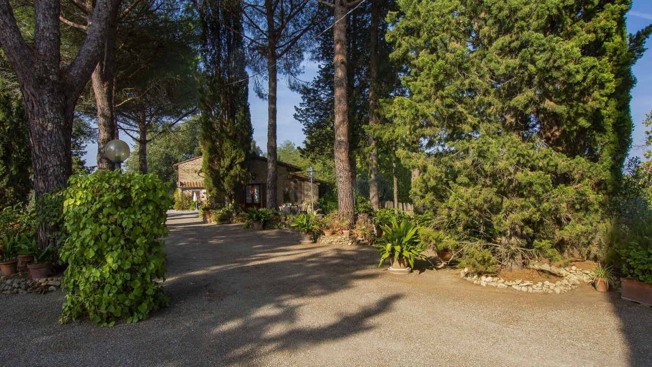 Photo of Others in Palaia