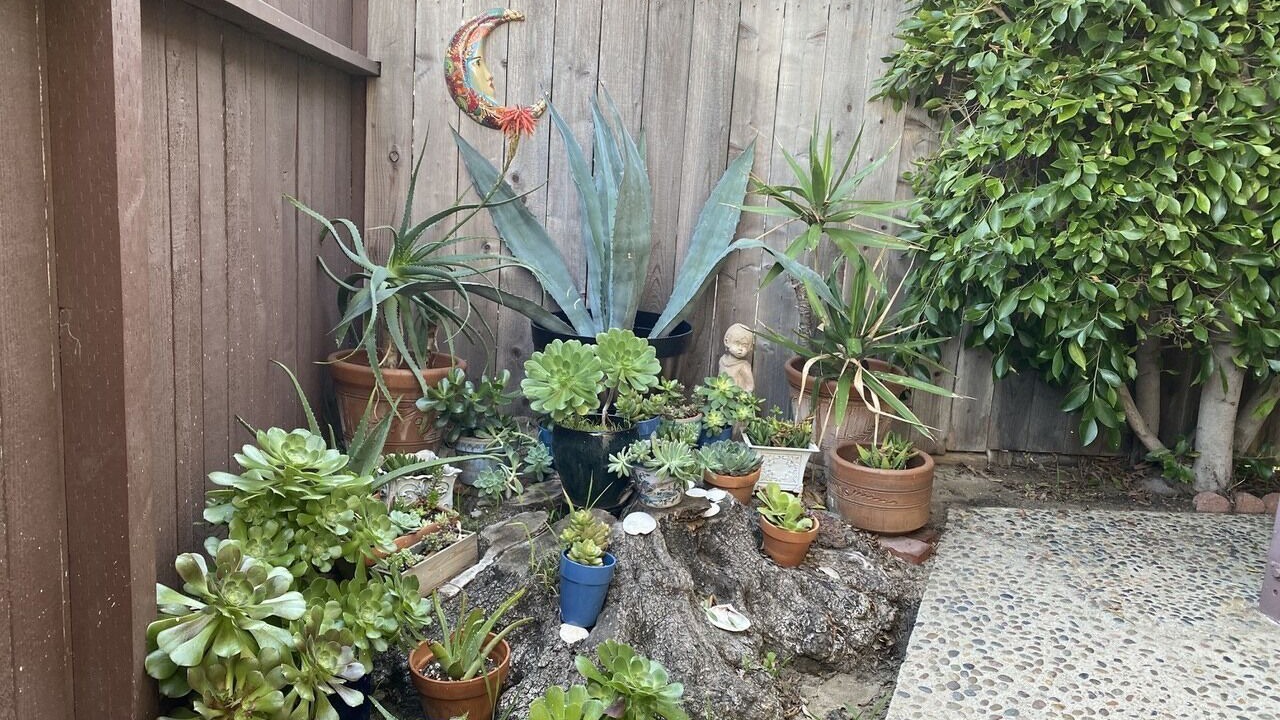 Photo of Outdoor in Silver Strand
