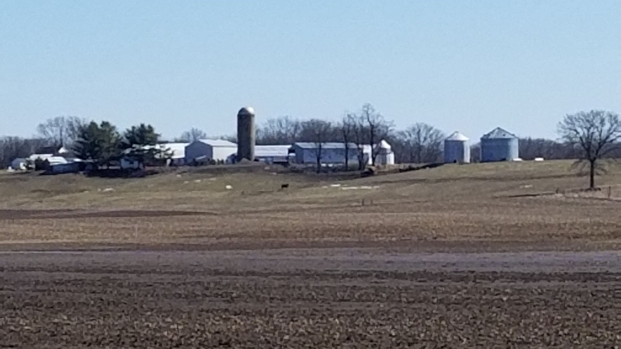 Photo of Others in Lakewood