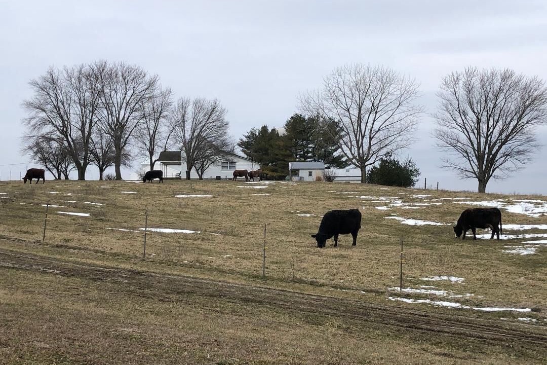 Photo of Others in Lakewood
