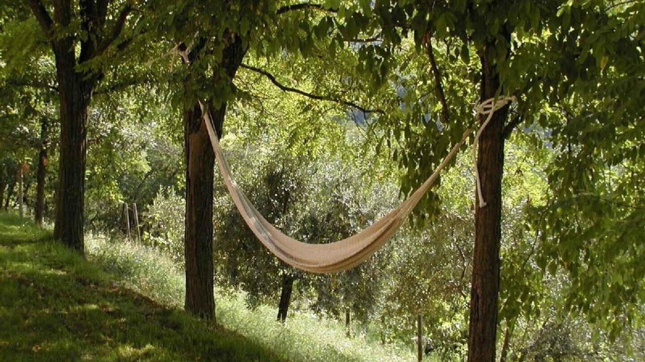 Photo of Outdoor in Urbino