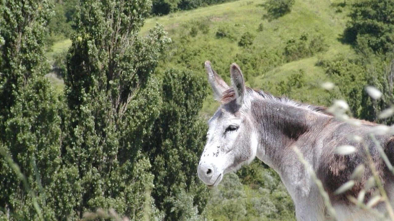 Photo of Outdoor in Urbino