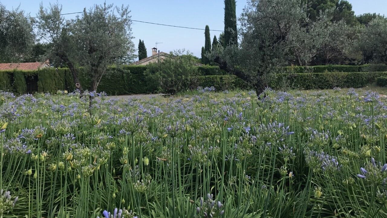 Photo of Outdoor in Saint-Jeannet