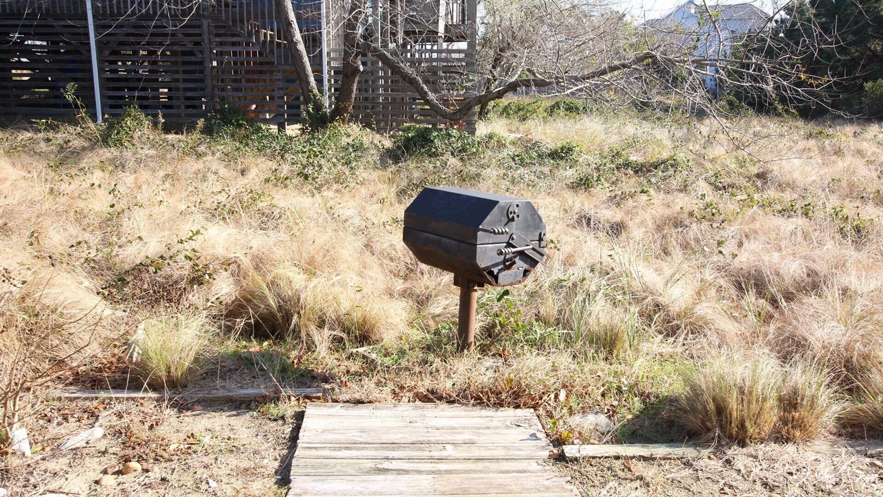 Photo of Outdoor in Carolina Dunes