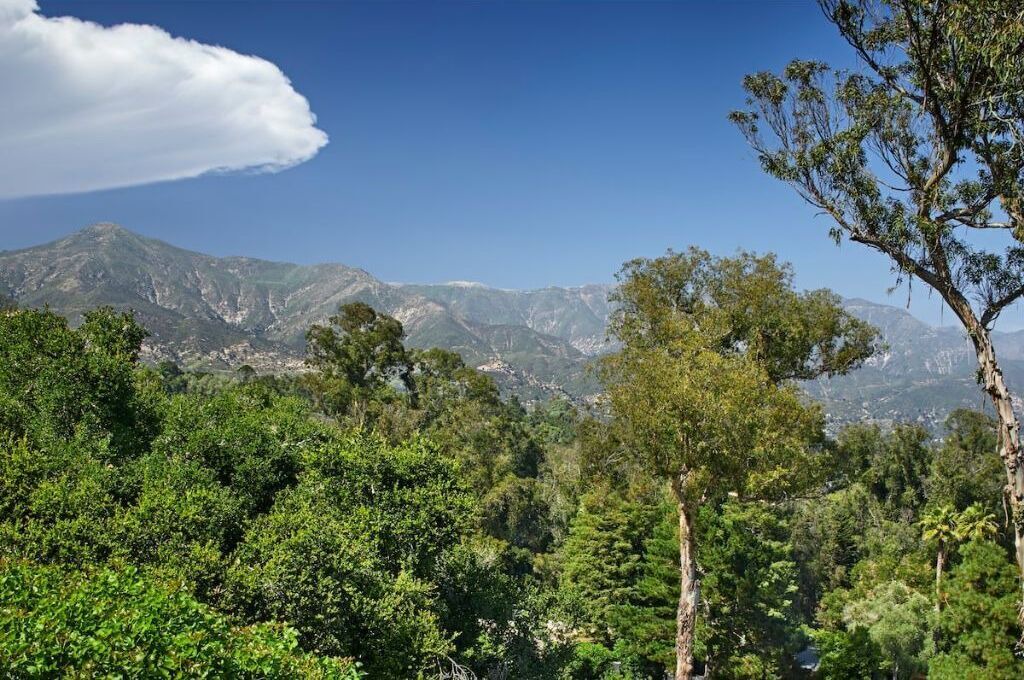 Photo of Others in Eucalyptus Hill