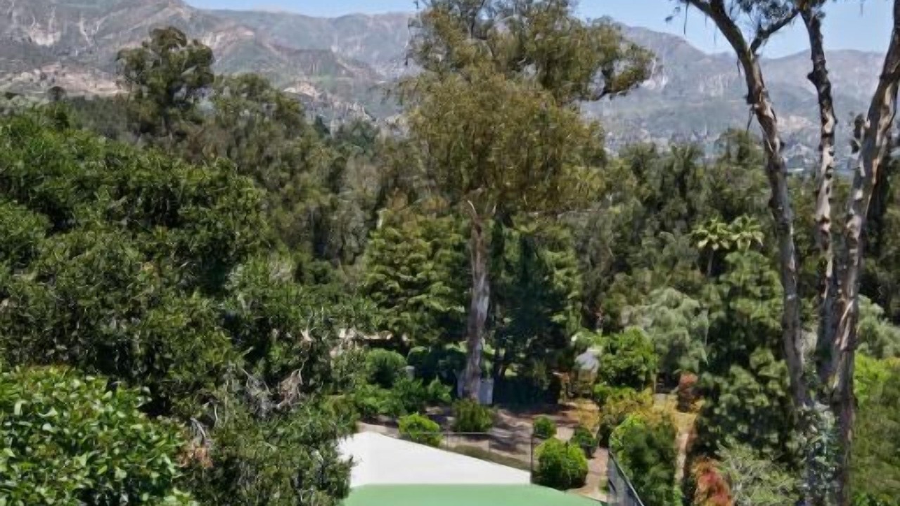 Photo of Others in Eucalyptus Hill