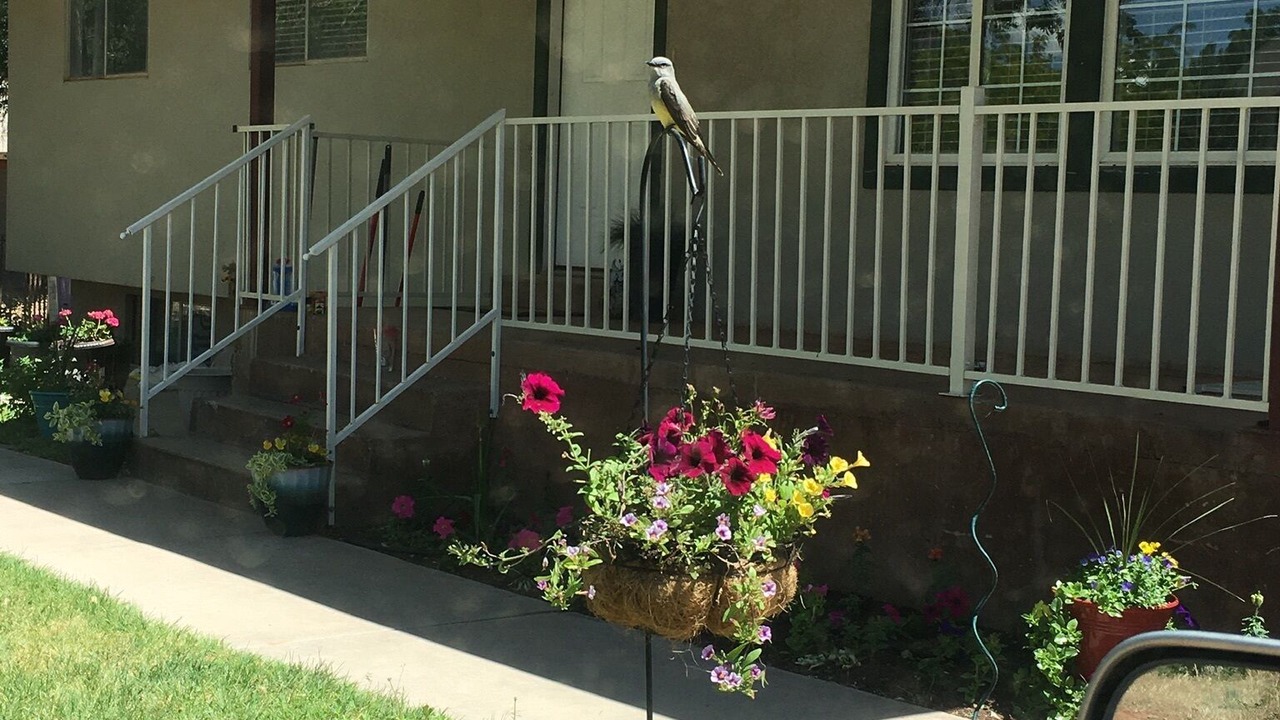 Photo of Outdoor in Hildale