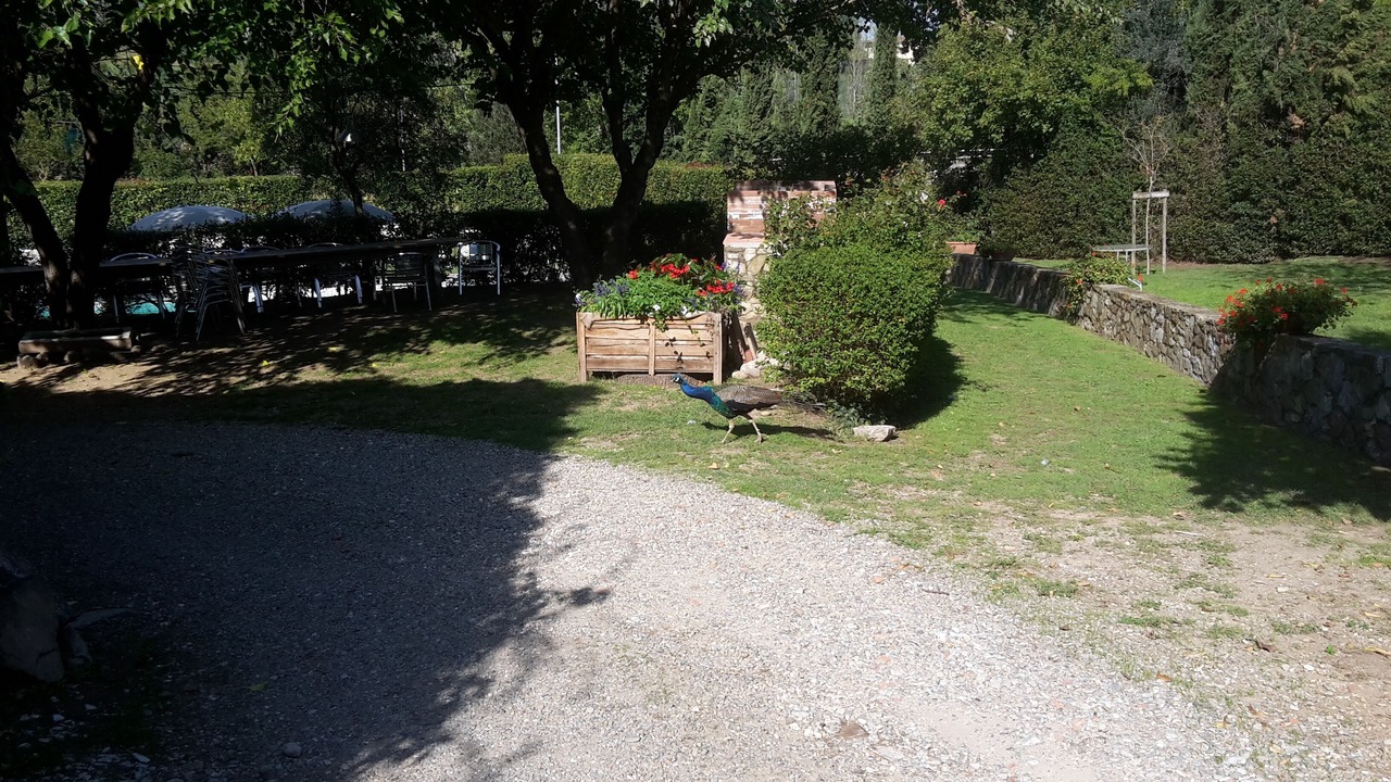 Photo of Outdoor in Scandicci