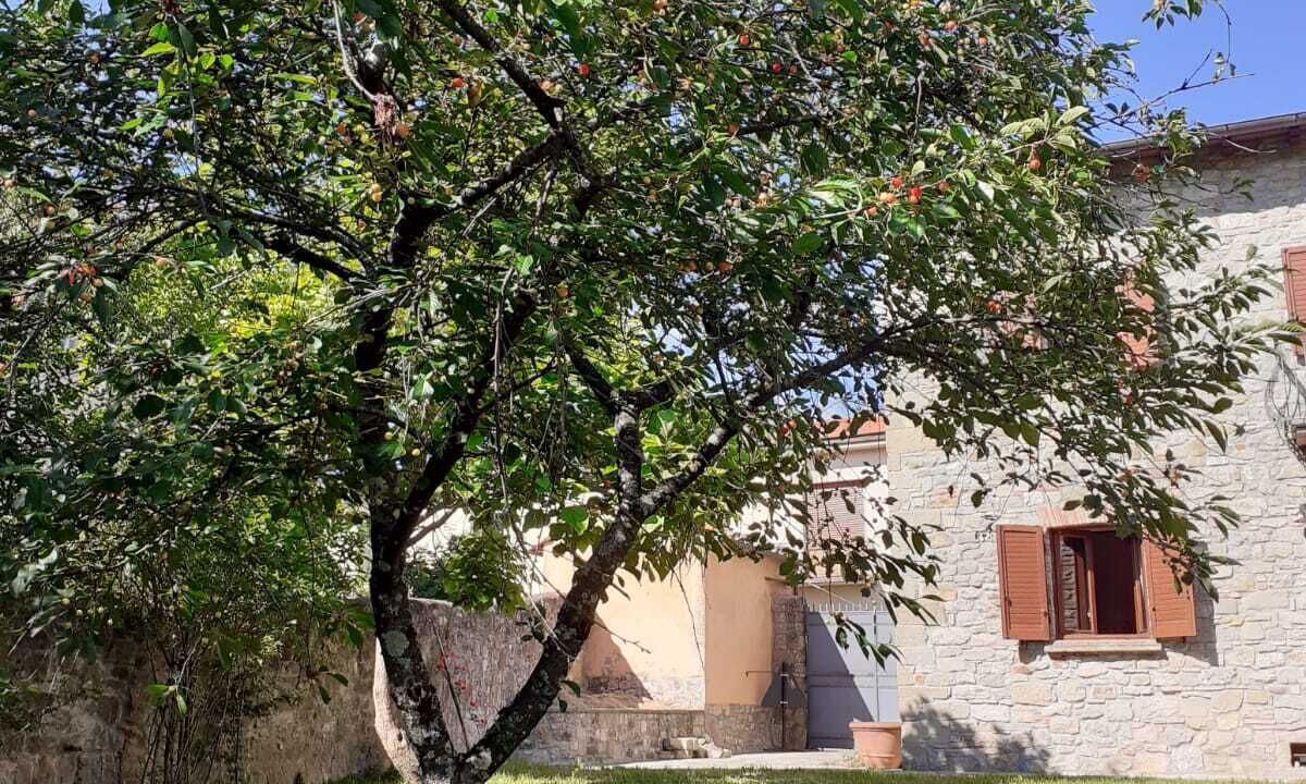 Photo of Outdoor in Borgo alla Collina
