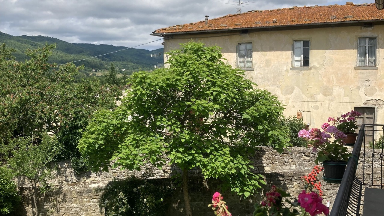 Photo of Outdoor in Borgo alla Collina