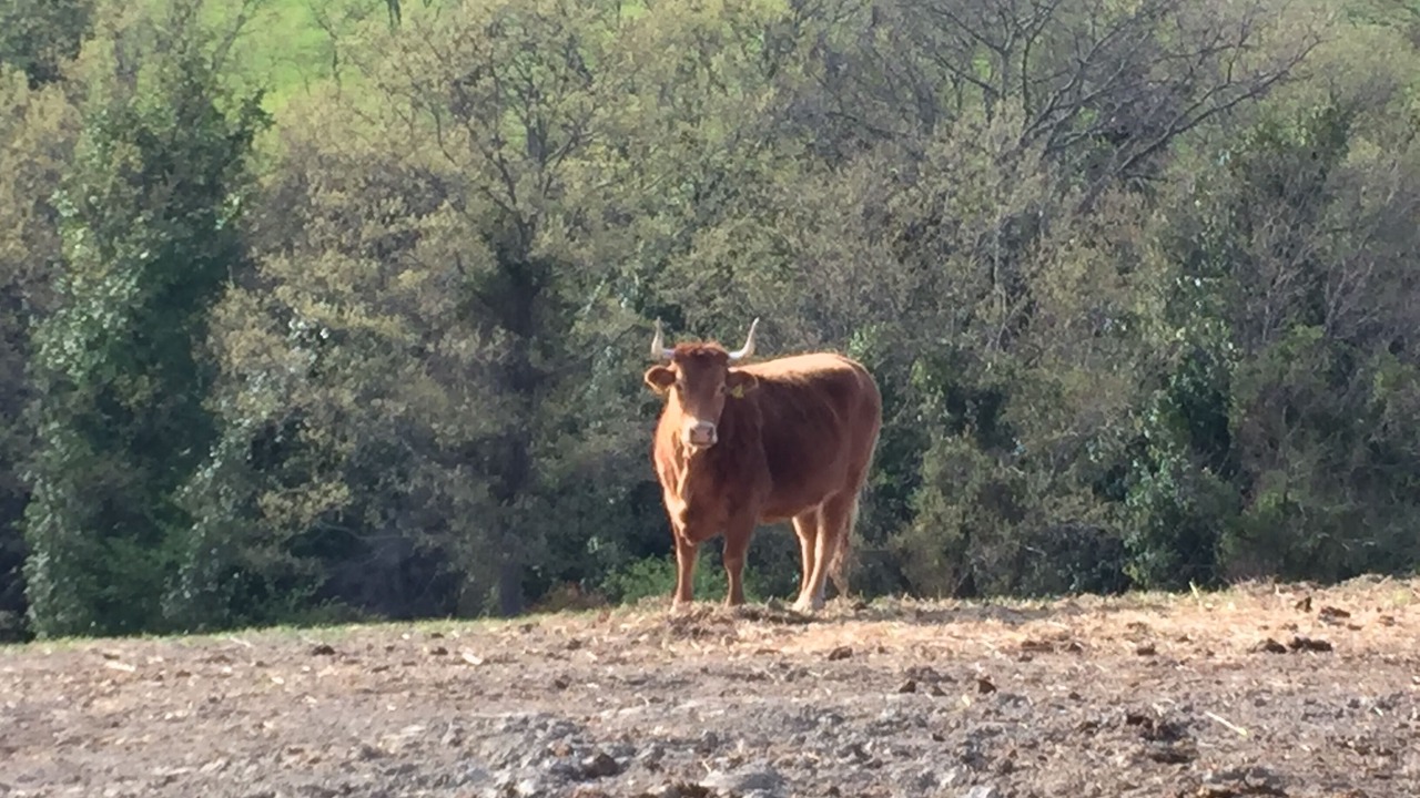 Photo of Outdoor in Volterra