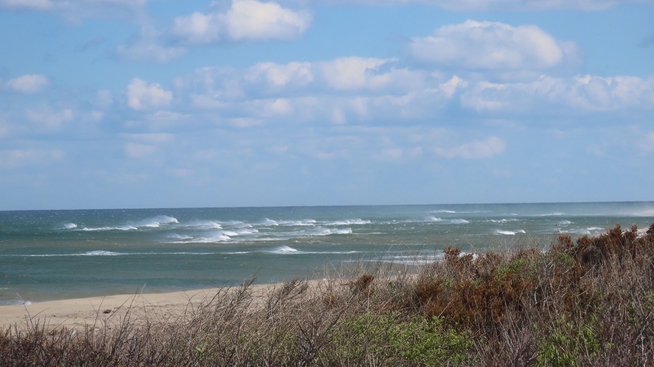 Photo of Others in Eastham
