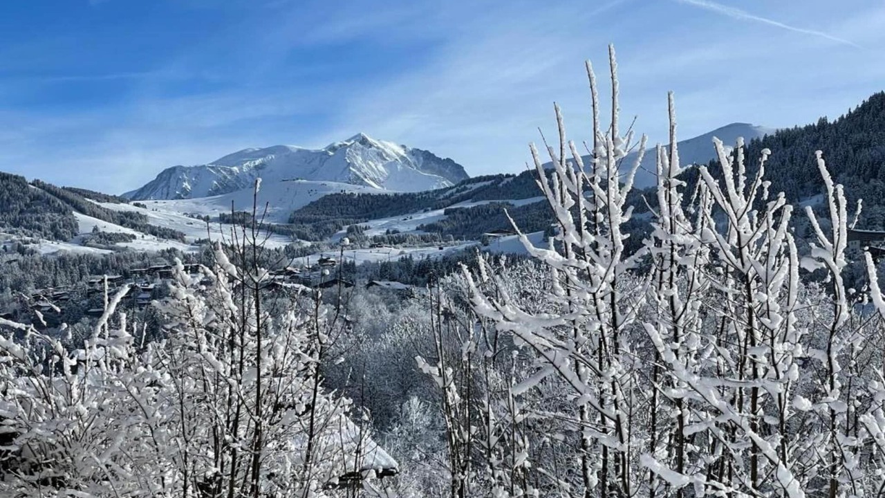 Photo of Others in Praz-sur-Arly