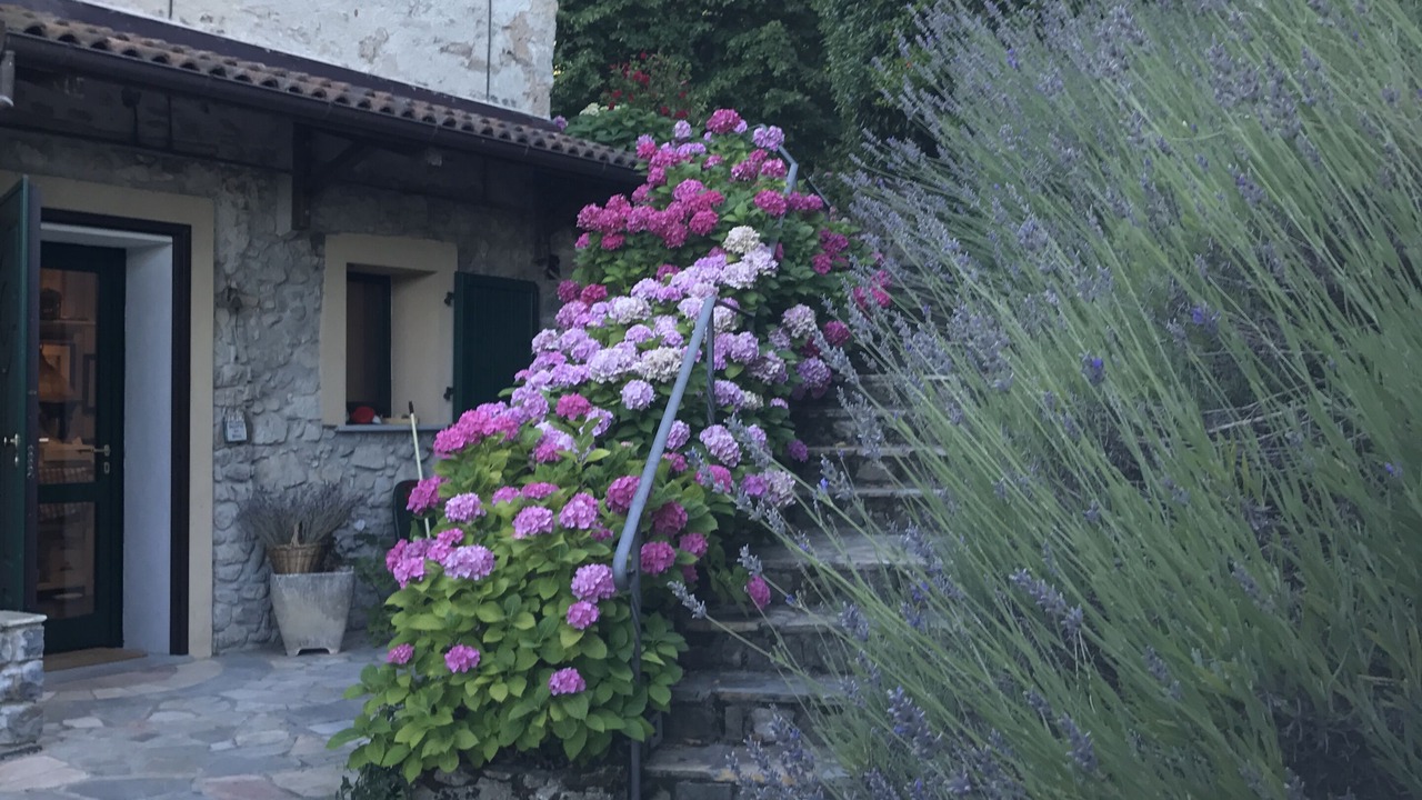 Photo of Outdoor in Marzabotto